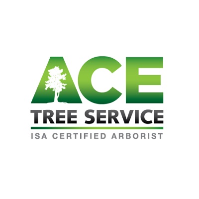ACE Tree Service