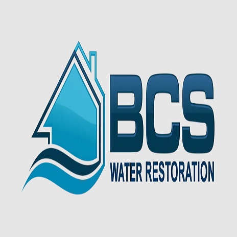 BCS Water Restoration