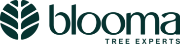 Blooma Tree Experts