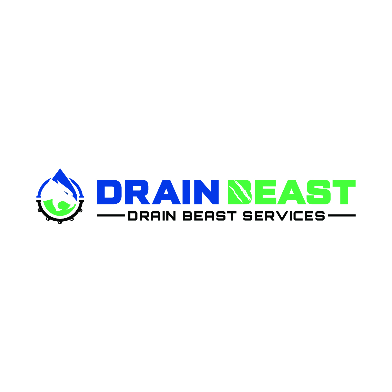 Drain Beast Services