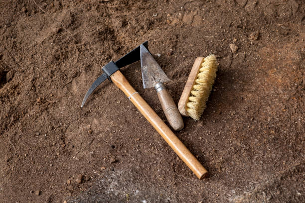 Arrow Restoration and Construction