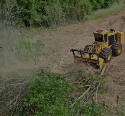 Bartonville Texas Land Clearing Services