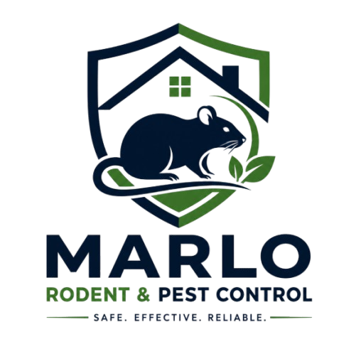 Buffalo Rodent Control