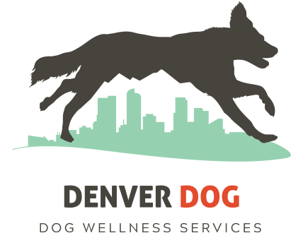 Denver Dog