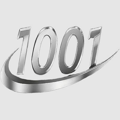 1001 Transportation