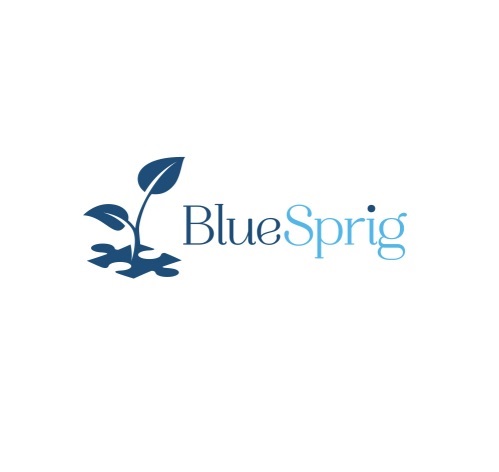 BlueSprig Katy South - ABA Therapy for Autism
