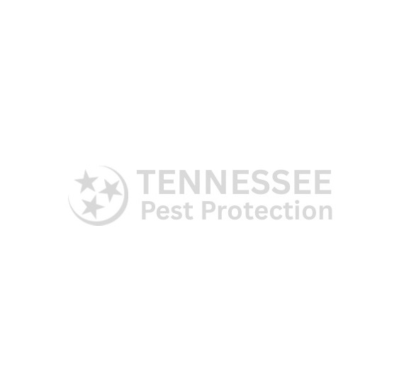 Tennessee Pest Protection