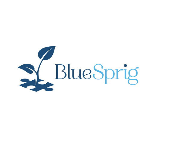 BlueSprig Kyle - ABA Therapy for Autism