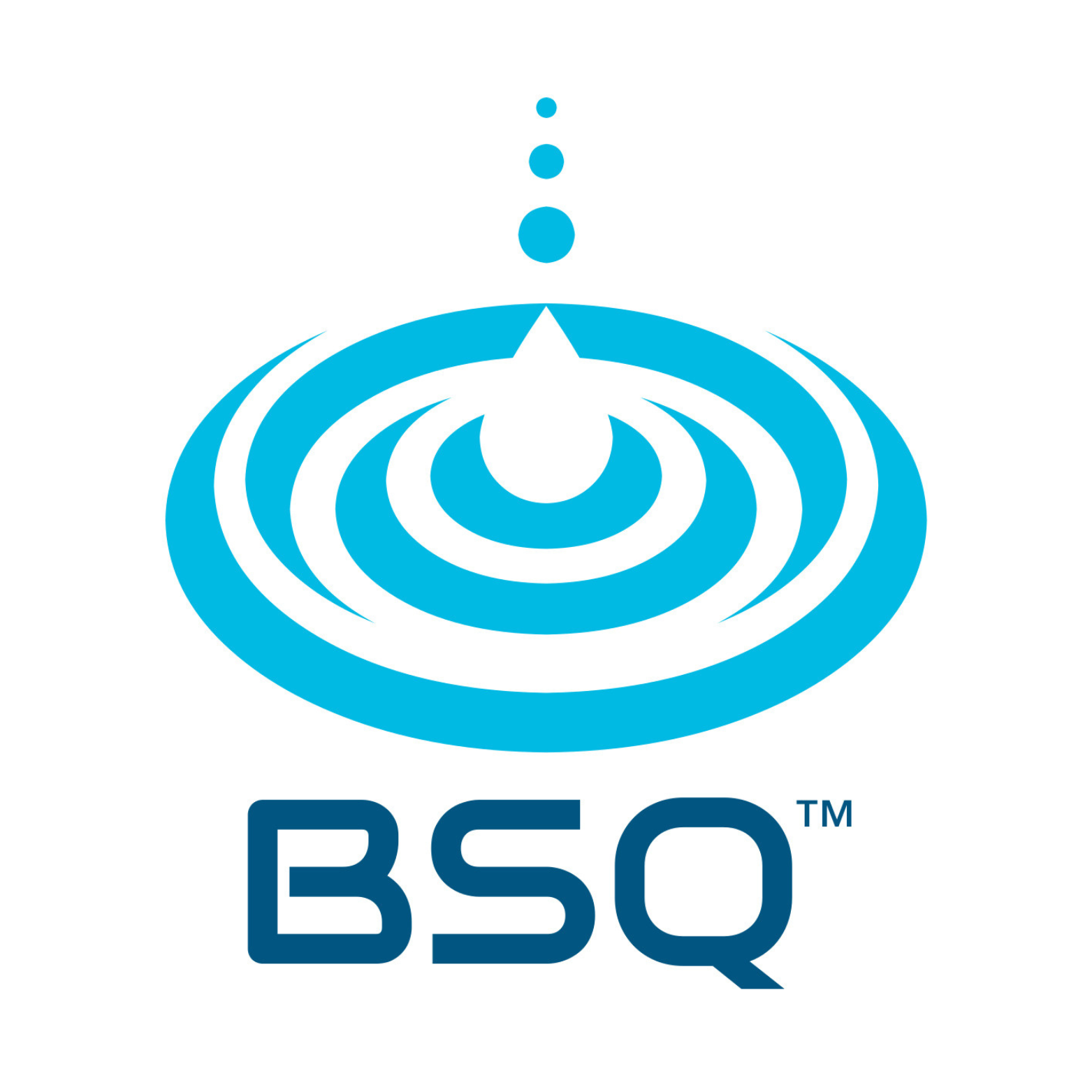 BSQ Inc.