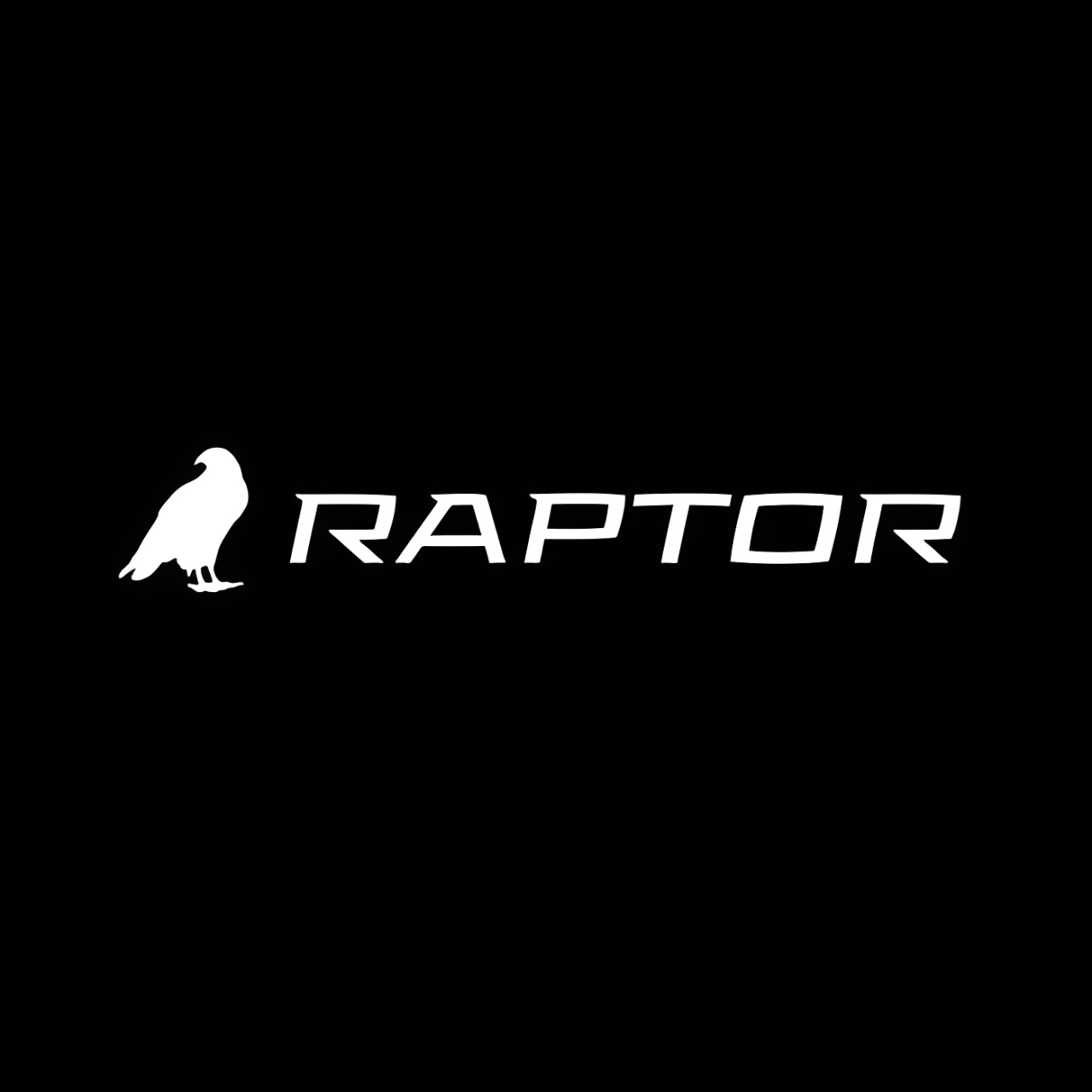 Las Vegas SEO Raptor