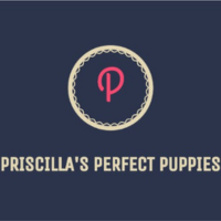 Priscillas Perfect Puppies