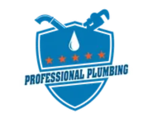 Professional Plumbing