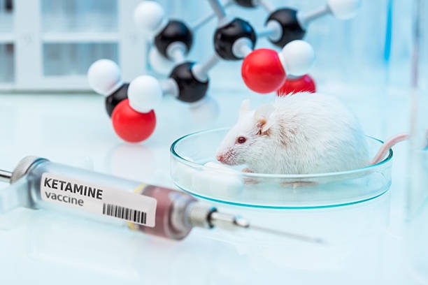 Master Certified Services of MN, LLC