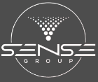 Professional services of Sense Group