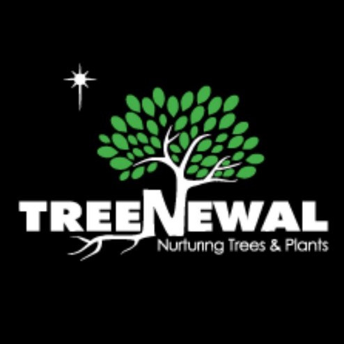 TreeNewal, Certified Arborist