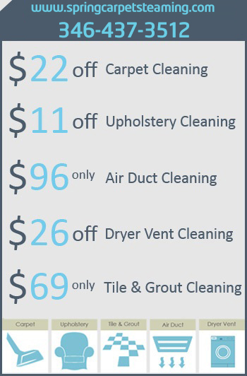 Spring Steam Carpet & Care