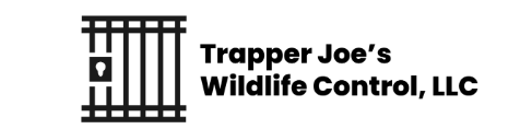 Trapper Joe’s Wildlife Control