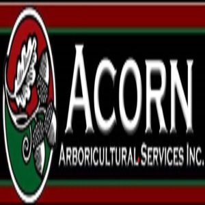 Acorn Arboricultural Services Inc