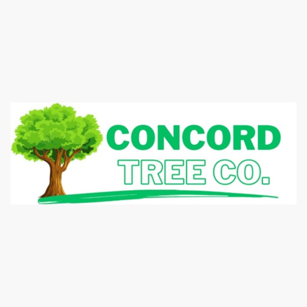 Concord Tree Co